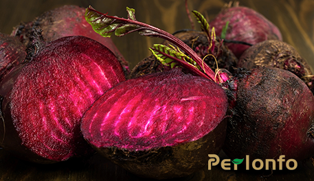 甜菜碱：从食品到健康守护的多面手