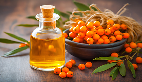 沙棘及其衍生油品的营养学意义与全球应用