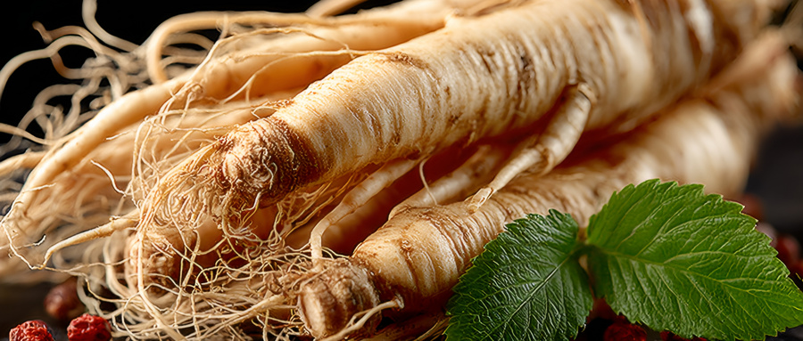 稀有原人参二醇型和原人参三醇型人参皂甙的催眠作用研究