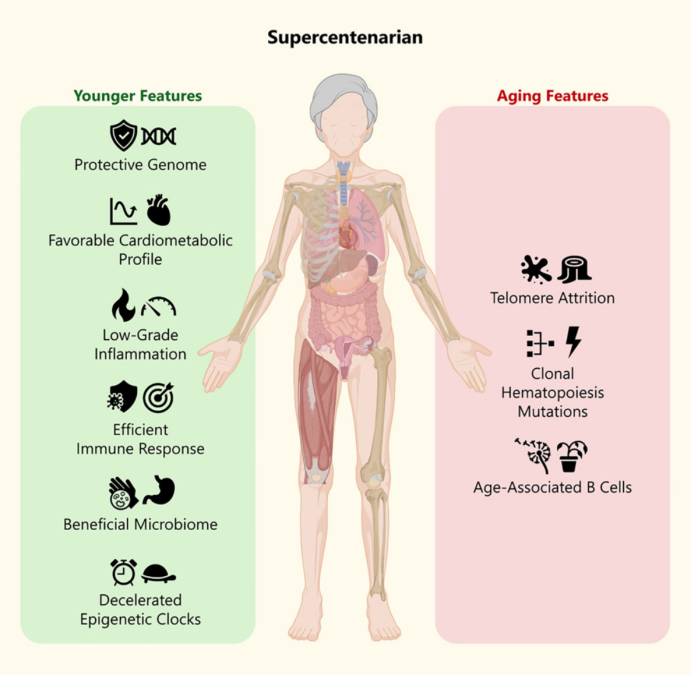 117岁最长寿老人揭秘：她的身体里藏着对抗衰老的双重密码