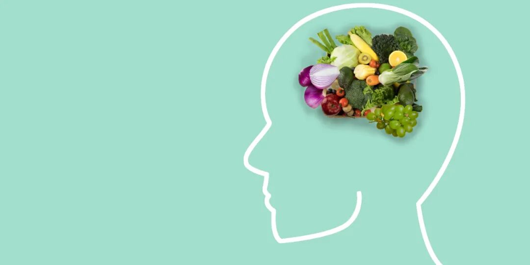 为什么吃得太油腻会记性变差？科学家在大脑里找到了关键“开关”